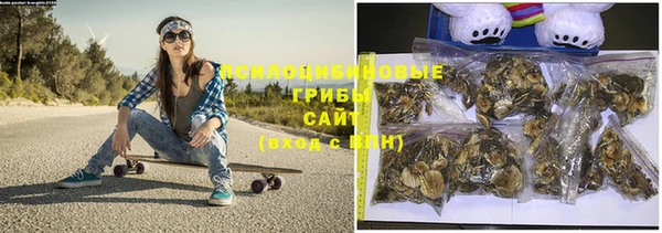 винт Козловка